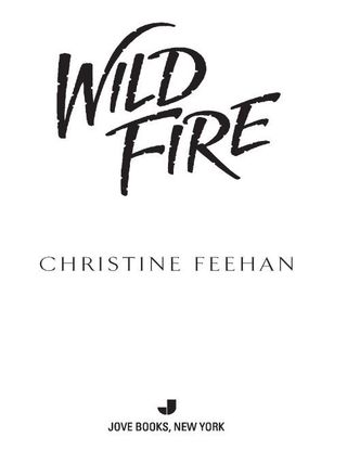 Wild Fire