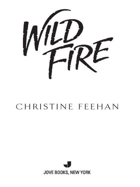 Cover image for book Wild Fire
