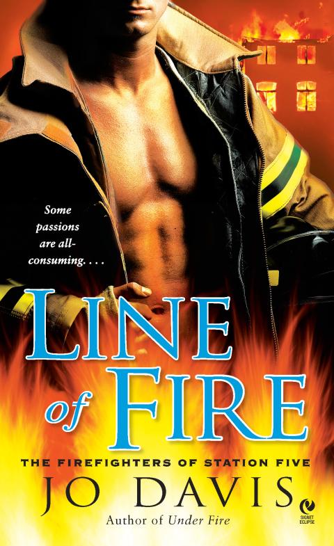 Cover image for book Line of Fire