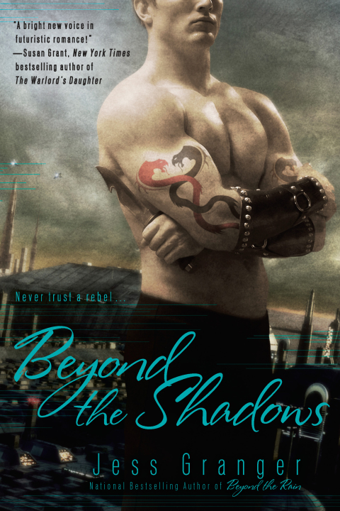 Cover image for book Beyond the Shadows