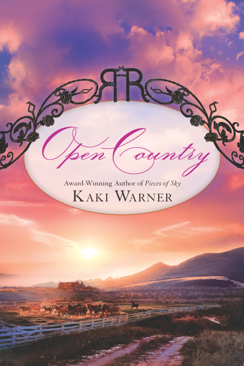 Cover image for book Open Country