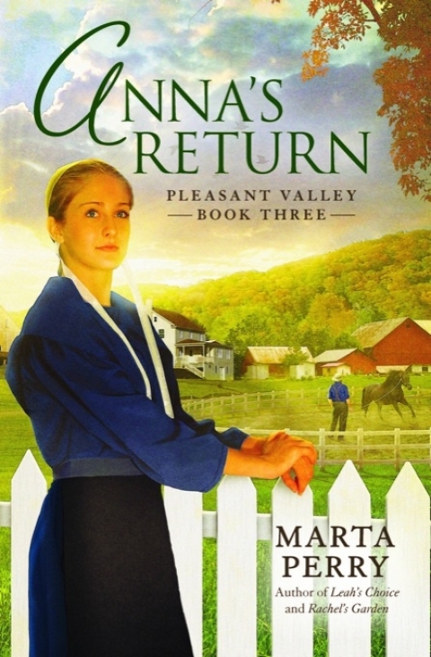 Cover image for book Anna's Return