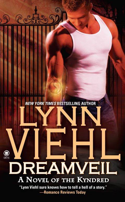 Cover image for book Dreamveil