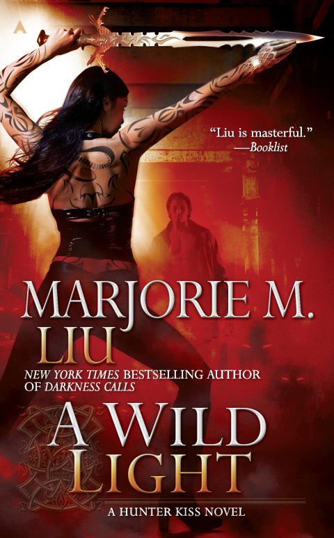 Cover image for book A Wild Light