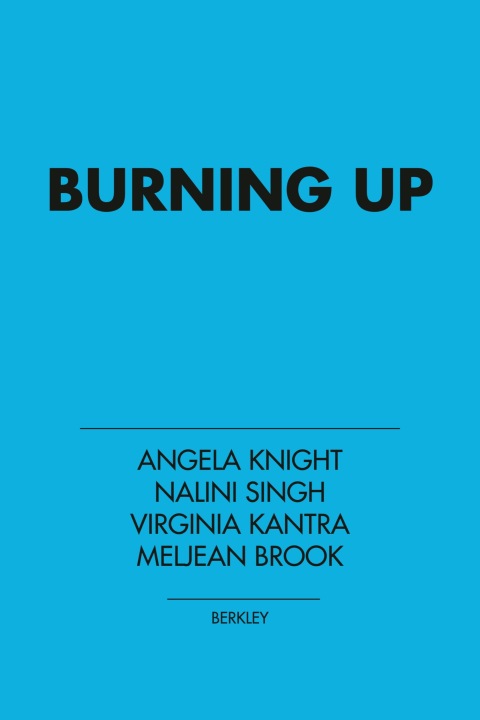 Cover image for book Burning Up