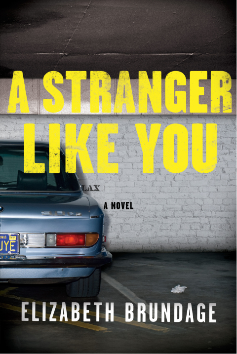 Cover image for book A Stranger Like You