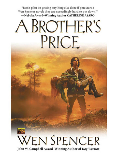 Cover image for book A Brother's Price