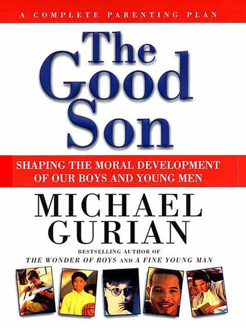 Cover image for book The Good Son