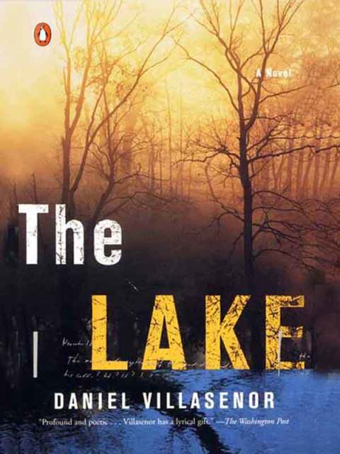 Cover image for book The Lake