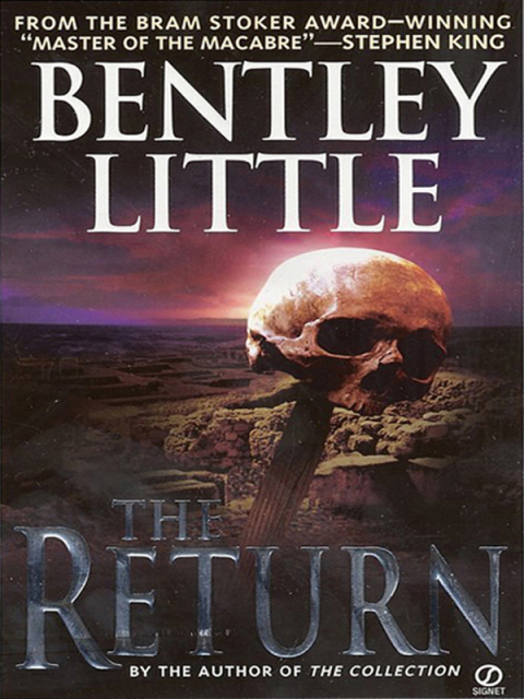 Cover image for book The Return