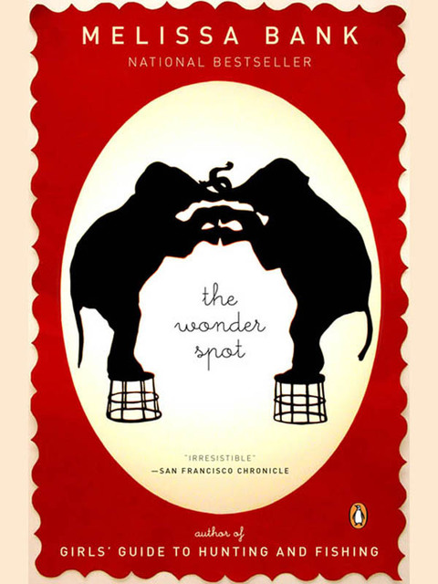 Cover image for book The Wonder Spot