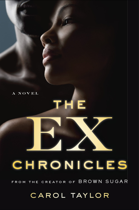 Cover image for book The Ex Chronicles