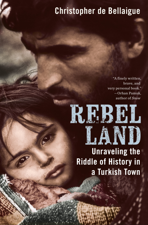 Cover image for book Rebel Land
