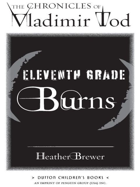 Cover image for book Eleventh Grade Burns #4