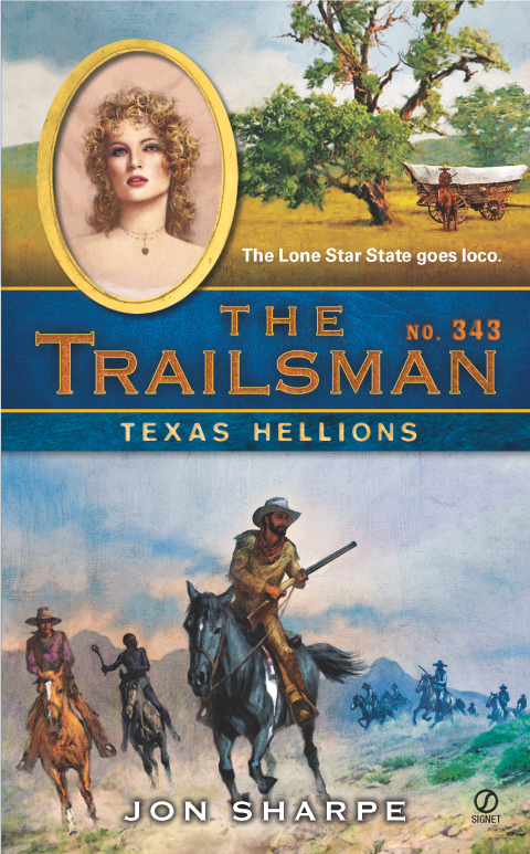 Cover image for book The Trailsman #343