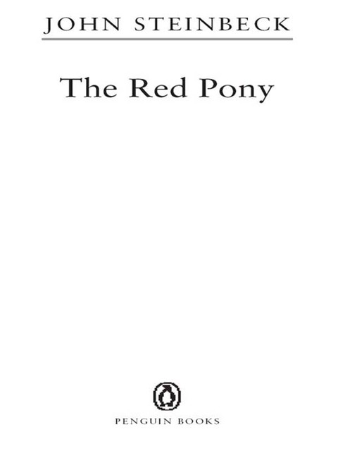 Cover image for book The Red Pony