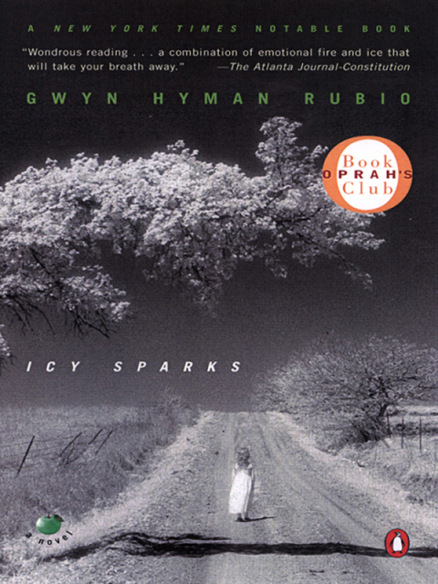 Cover image for book Icy Sparks