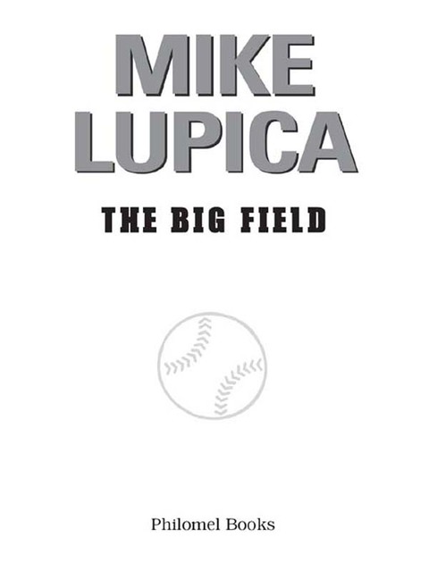 Cover image for book The Big Field