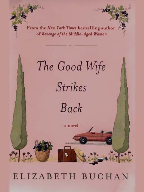 Cover image for book The Good Wife Strikes Back
