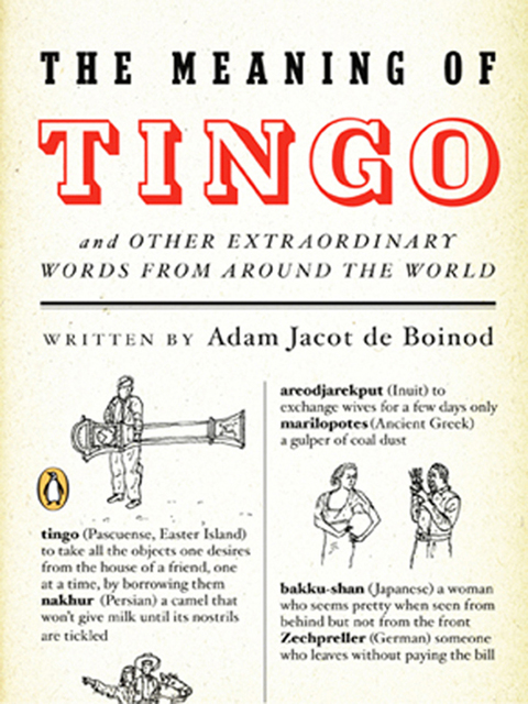 Cover image for book The Meaning of Tingo