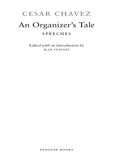 Cover image for book An Organizer's Tale