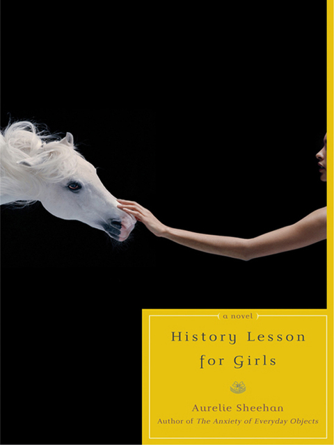 Cover image for book History Lesson for Girls