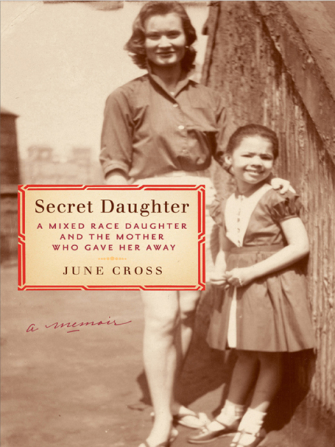 Cover image for book Secret Daughter