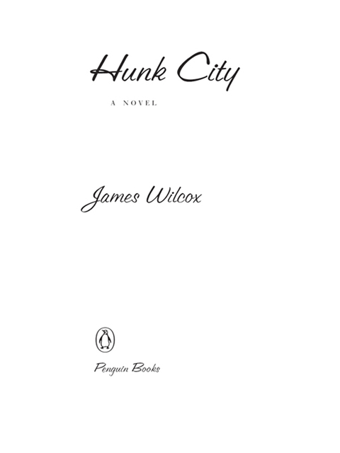 Cover image for book Hunk City