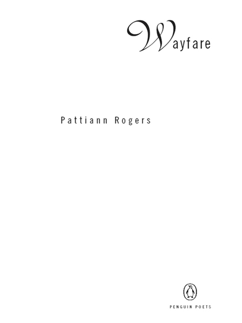 Cover image for book Wayfare