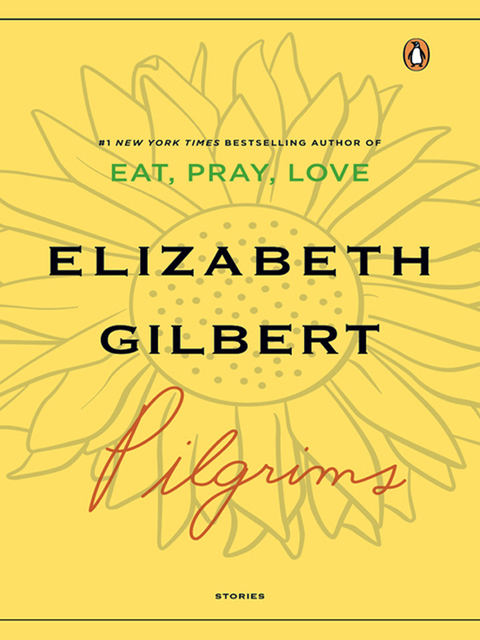 Cover image for book Pilgrims