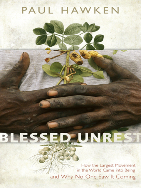Cover image for book Blessed Unrest