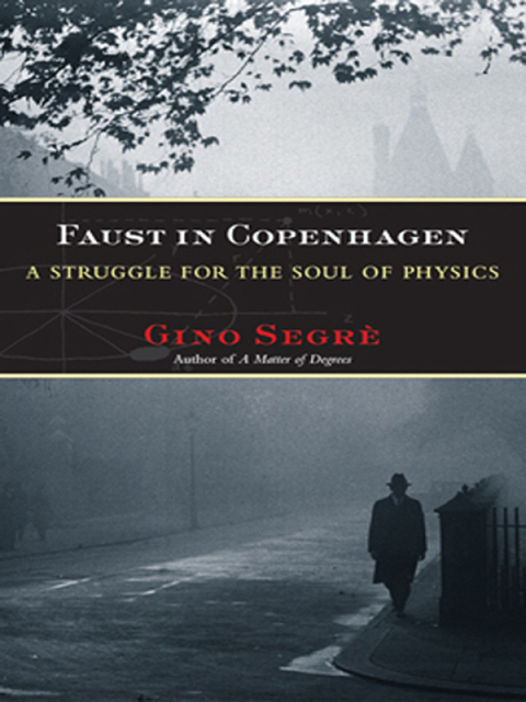 Cover image for book Faust in Copenhagen