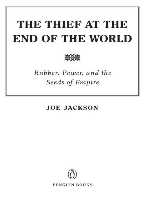 Cover image for book The Thief at the End of the World