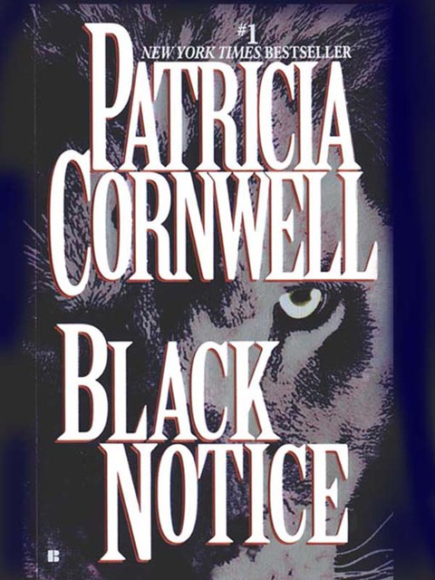 Cover image for book Black Notice