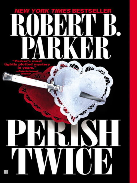 Cover image for book Perish Twice