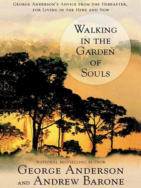 Cover image for book Walking in the Garden of Souls