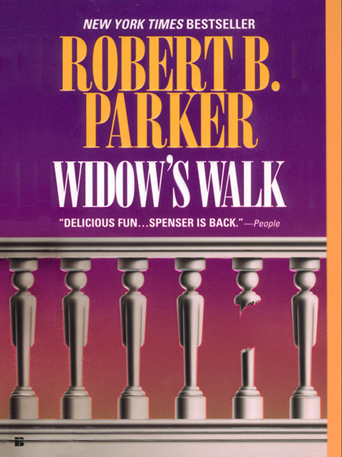Cover image for book Widow's Walk