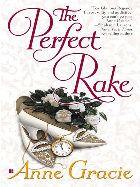 Cover image for book The Perfect Rake