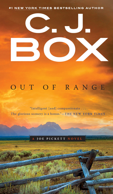 Cover image for book Out of Range