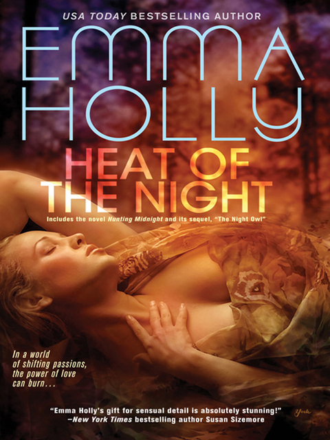 Cover image for book Heat of the Night