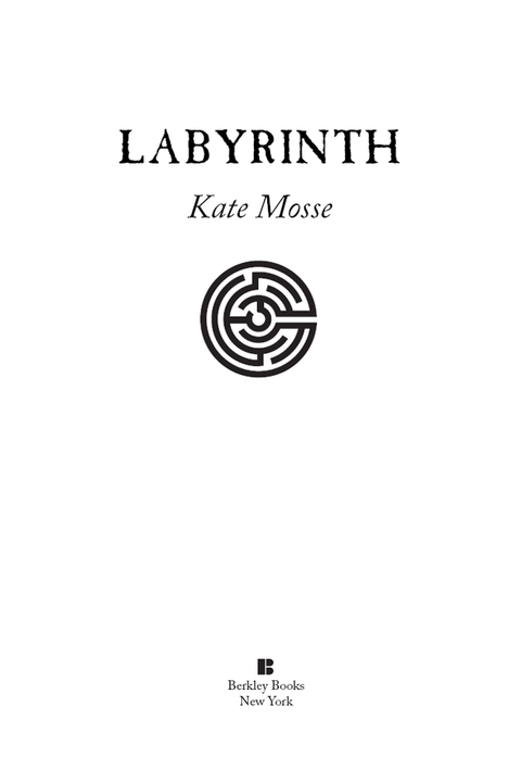 Cover image for book Labyrinth
