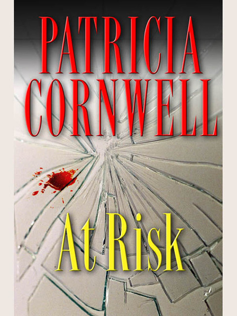 Cover image for book At Risk