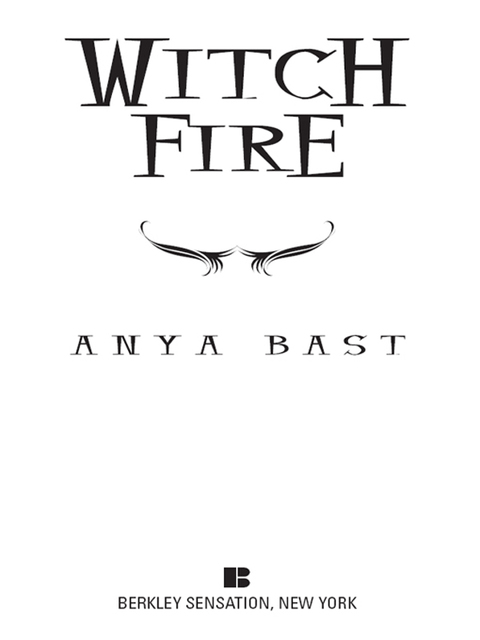 Cover image for book Witch Fire