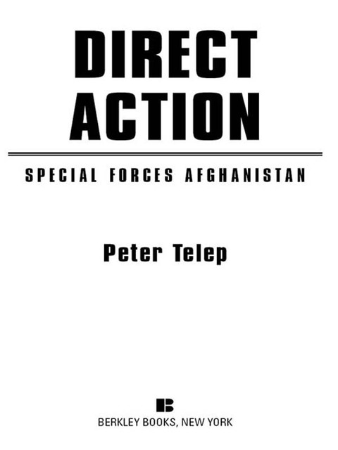 Cover image for book Special Forces Afghanistan