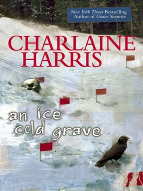 Cover image for book An Ice Cold Grave