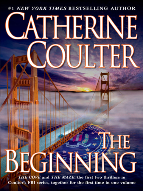 Cover image for book The Beginning