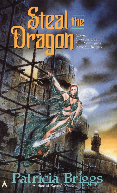 Cover image for book Steal the Dragon