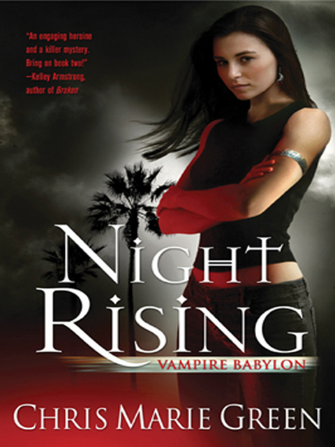Cover image for book Night Rising