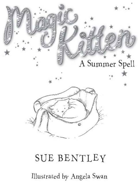 Cover image for book A Summer Spell #1