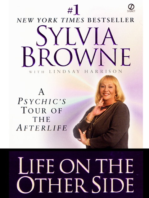 Cover image for book Life on the Other Side
